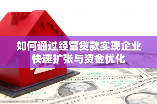 麻豆如何通过经营贷款实现企业快速扩张与资金优化
