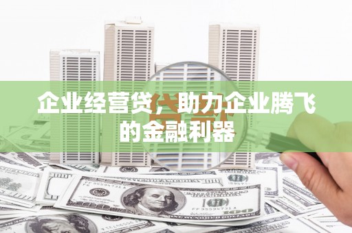 麻豆企业经营贷，助力企业腾飞的金融利器