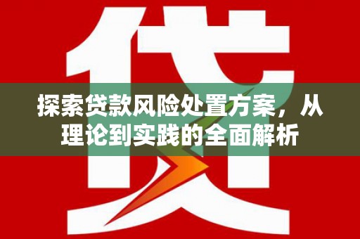 麻豆探索贷款风险处置方案，从理论到实践的全面解析