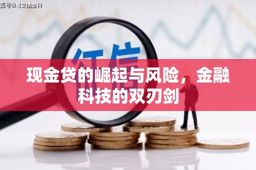 麻豆现金贷的崛起与风险，金融科技的双刃剑