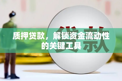 麻豆质押贷款，解锁资金流动性的关键工具