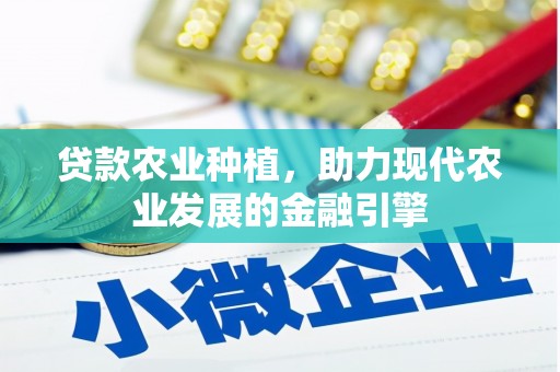 麻豆贷款农业种植，助力现代农业发展的金融引擎