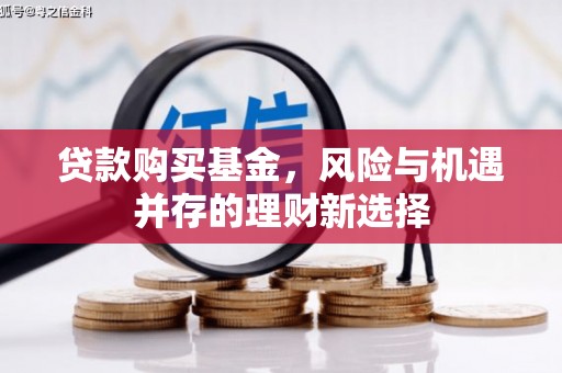 麻豆贷款购买基金，风险与机遇并存的理财新选择