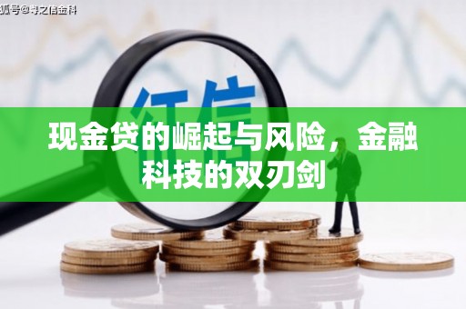 麻豆现金贷的崛起与风险，金融科技的双刃剑