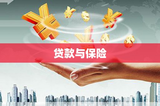 麻豆贷款与保险