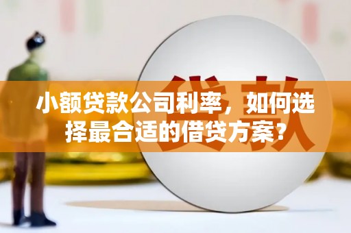 麻豆小额贷款公司利率，如何选择最合适的借贷方案？