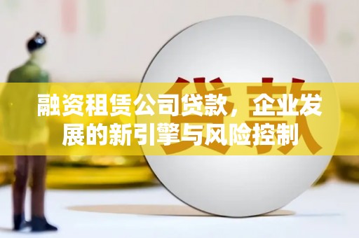 麻豆融资租赁公司贷款，企业发展的新引擎与风险控制