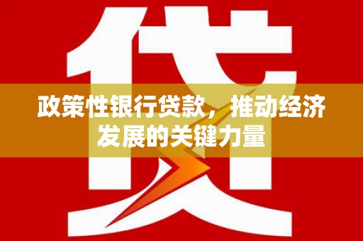 麻豆政策性银行贷款，推动经济发展的关键力量