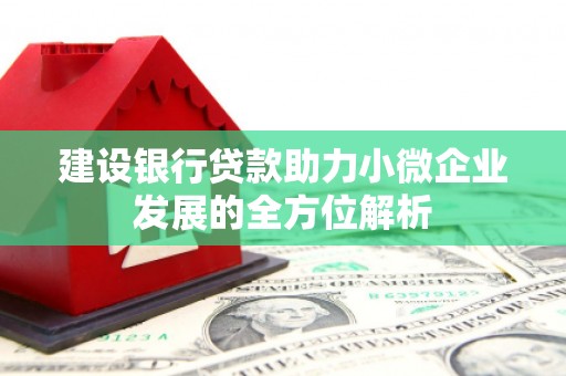 麻豆建设银行贷款助力小微企业发展的全方位解析
