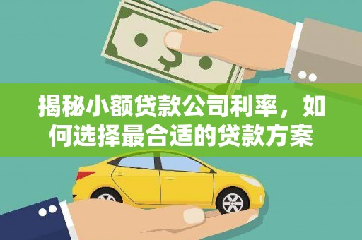 麻豆揭秘小额贷款公司利率，如何选择最合适的贷款方案