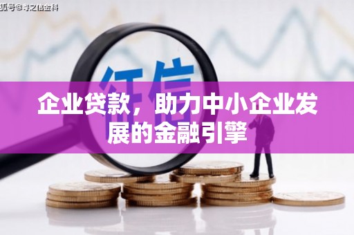 麻豆企业贷款，助力中小企业发展的金融引擎