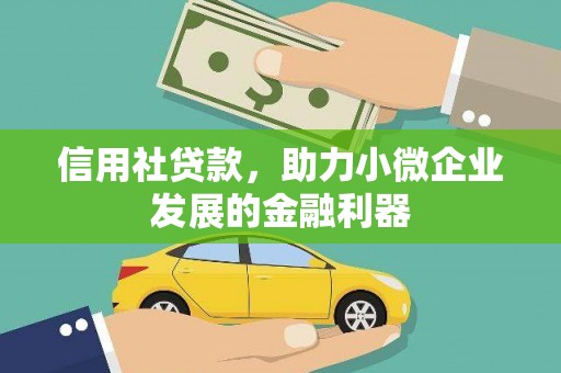 麻豆信用社贷款，助力小微企业发展的金融利器