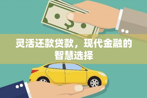 麻豆灵活还款贷款，现代金融的智慧选择
