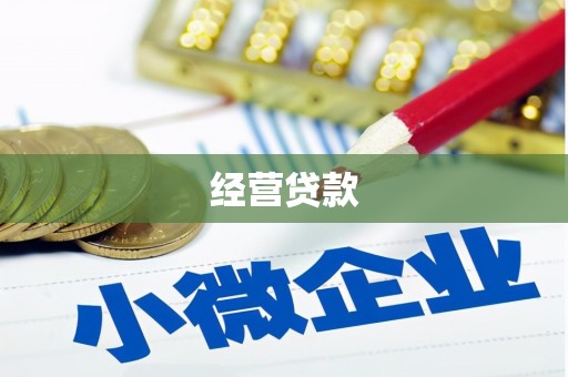 麻豆经营贷款