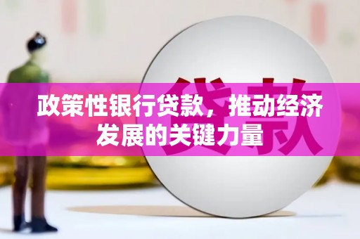麻豆政策性银行贷款，推动经济发展的关键力量