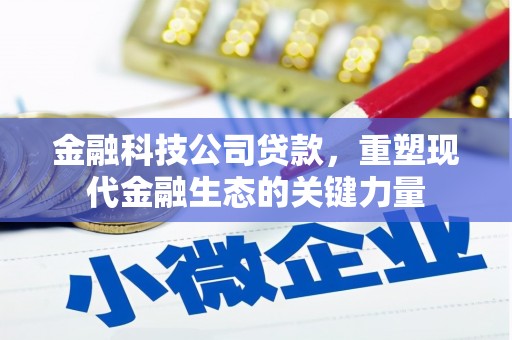 麻豆金融科技公司贷款，重塑现代金融生态的关键力量
