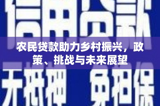 麻豆农民贷款助力乡村振兴，政策、挑战与未来展望