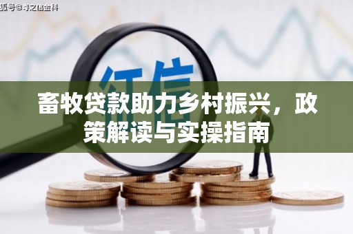 麻豆畜牧贷款助力乡村振兴，政策解读与实操指南