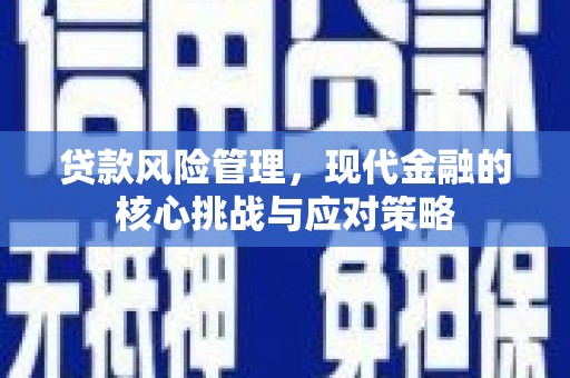 麻豆贷款风险管理，现代金融的核心挑战与应对策略