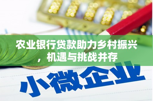 麻豆农业银行贷款助力乡村振兴，机遇与挑战并存