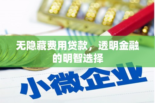 麻豆无隐藏费用贷款，透明金融的明智选择