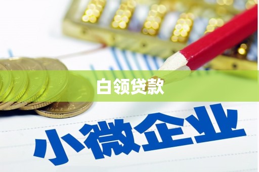 麻豆白领贷款
