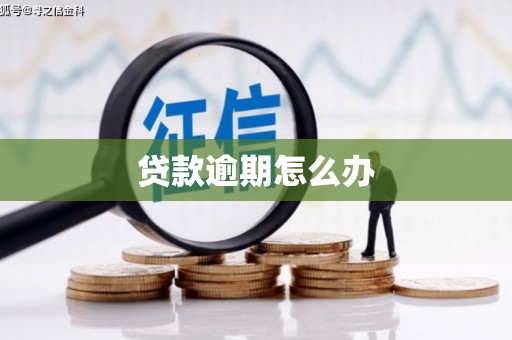麻豆贷款逾期怎么办