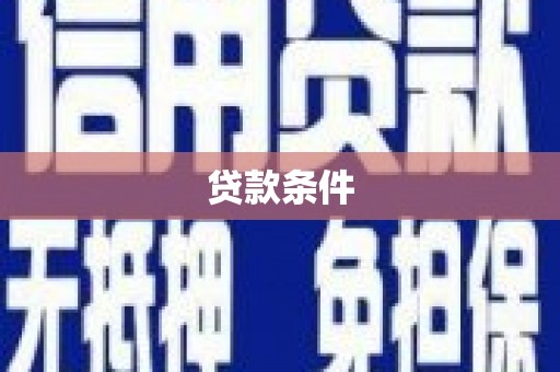 麻豆贷款条件