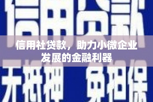 麻豆信用社贷款，助力小微企业发展的金融利器