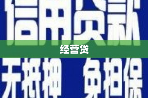 麻豆经营贷