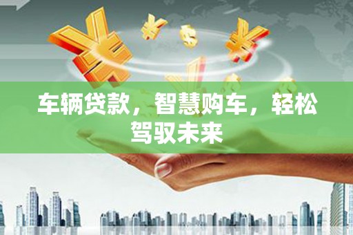 麻豆车辆贷款，智慧购车，轻松驾驭未来