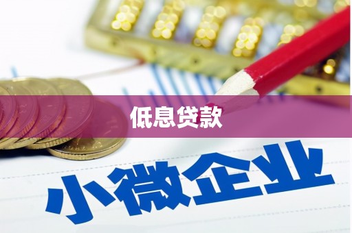 麻豆低息贷款