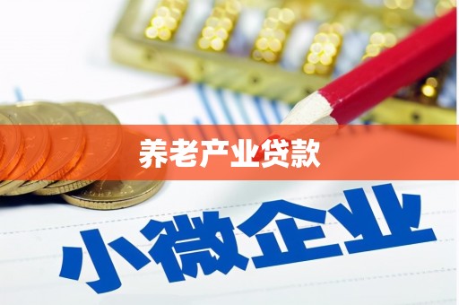 麻豆养老产业贷款