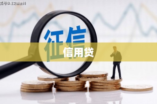 麻豆信用贷