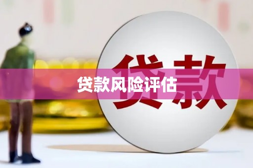 麻豆贷款风险评估