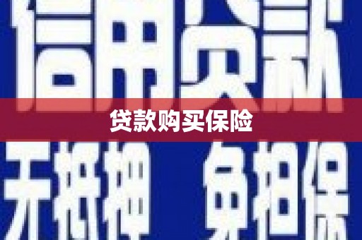 麻豆贷款购买保险