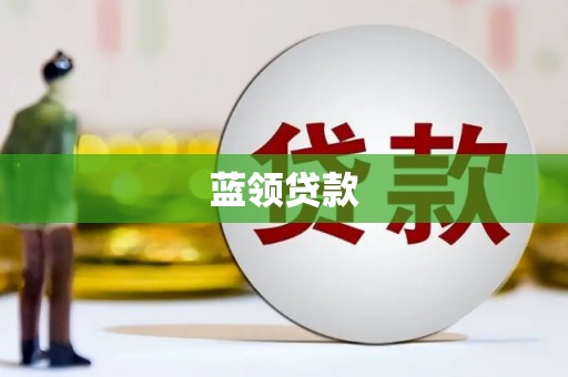 麻豆蓝领贷款