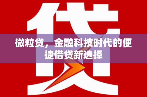 麻豆微粒贷，金融科技时代的便捷借贷新选择