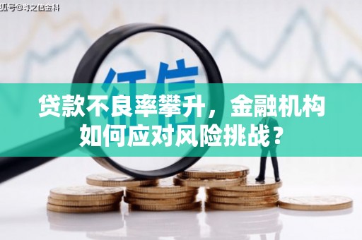 麻豆贷款不良率攀升，金融机构如何应对风险挑战？