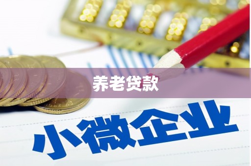麻豆养老贷款