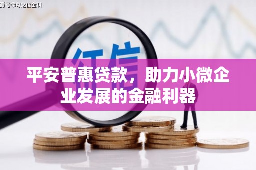 麻豆平安普惠贷款，助力小微企业发展的金融利器