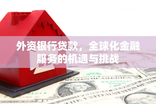 麻豆外资银行贷款，全球化金融服务的机遇与挑战