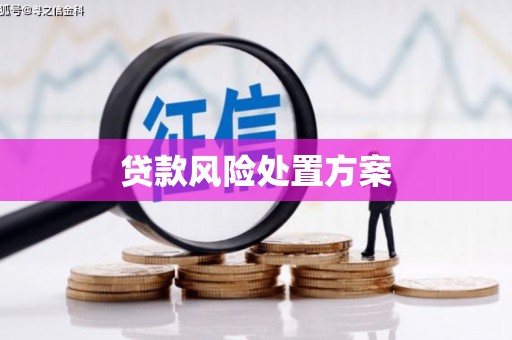 麻豆贷款风险处置方案