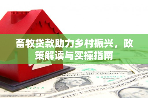麻豆畜牧贷款助力乡村振兴，政策解读与实操指南