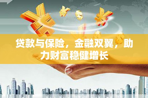 麻豆贷款与保险，金融双翼，助力财富稳健增长