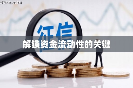 麻豆解锁资金流动性的关键