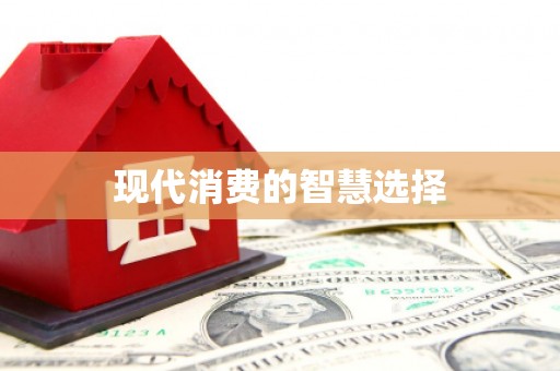 麻豆现代消费的智慧选择