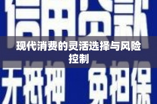 麻豆现代消费的灵活选择与风险控制