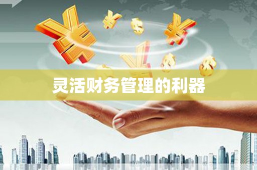 麻豆灵活财务管理的利器