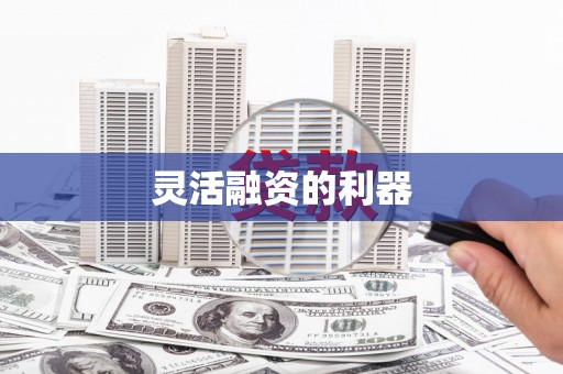 麻豆灵活融资的利器